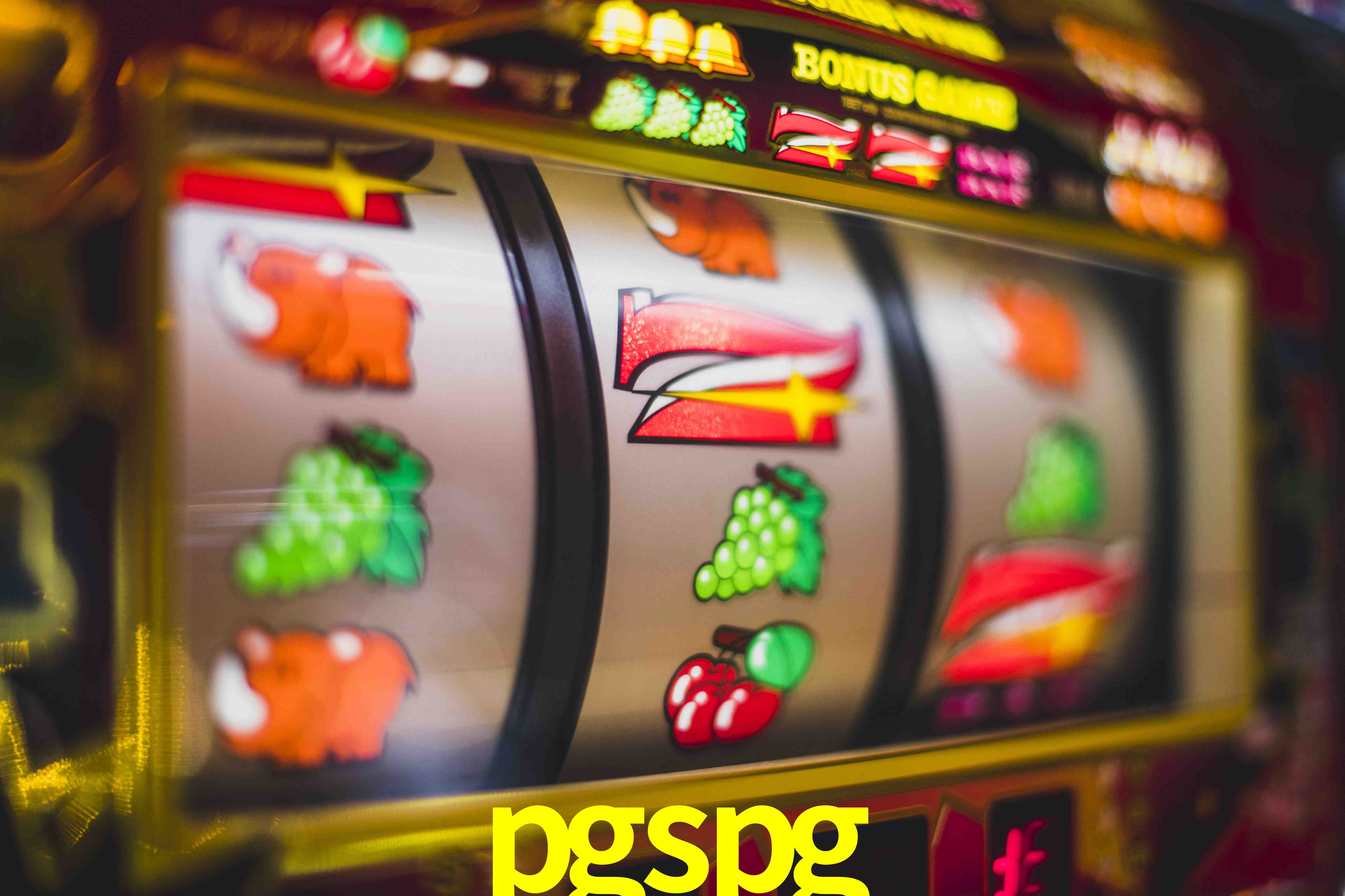 Sports Statistics pgspg